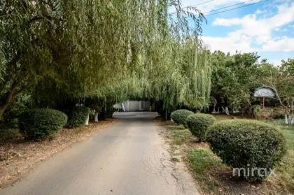 str. Schinoasa Vale, Codru, Chișinău imaginea 182476