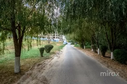 str. Schinoasa Vale, Codru, Chișinău imaginea 182477