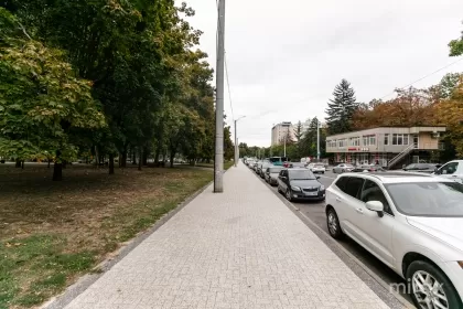 бул. Куза Водэ, Ботаника, Кишинев изображение 235936