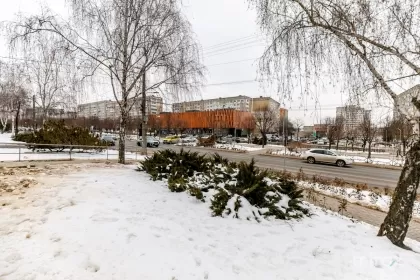 bd. Mircea cel Bătrân, Ciocana image 243386