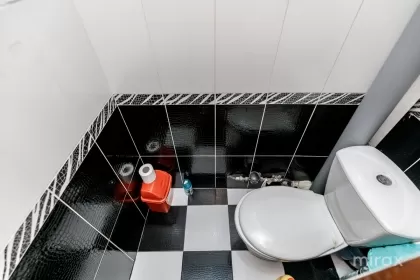 ул. Григоре Уреке, Дурлешть изображение 244467