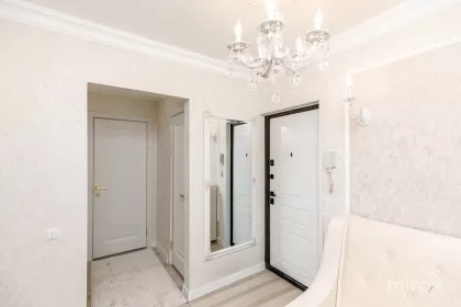 bd. Dacia, Botanica, Chișinău image 245383