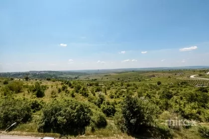 str. Ialoveni, Telecentru, mun. Chișinău imaginea 225243