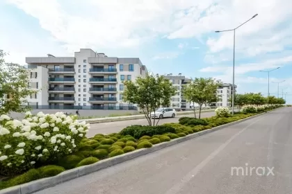 bd. Dacia, Botanica, Chișinău imaginea 244475