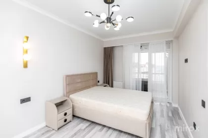 бул. Мирча чел Бэтрын, Чеканы изображение 243423