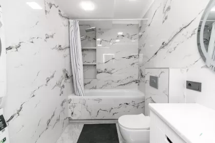 бул. Мирча чел Бэтрын, Чеканы изображение 243429