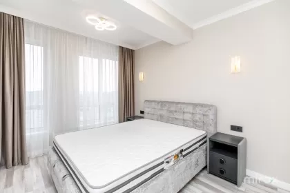 бул. Мирча чел Бэтрын, Чеканы изображение 243421