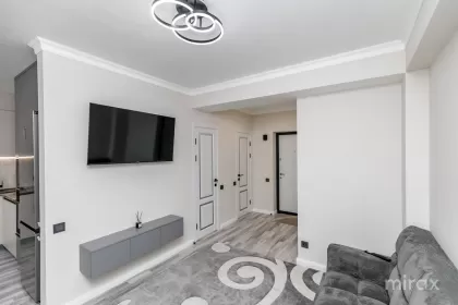 бул. Мирча чел Бэтрын, Чеканы изображение 243428