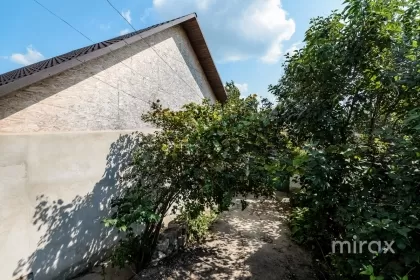 s. Cojușna, Strășeni, mun. Chișinău image 225260