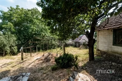 s. Cojușna, Strășeni, mun. Chișinău image 225262