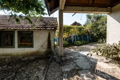 s. Cojușna, Strășeni, mun. Chișinău image 225264