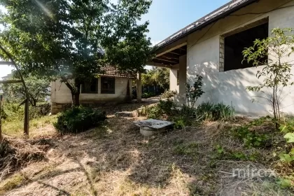 s. Cojușna, Strășeni, mun. Chișinău image 225272