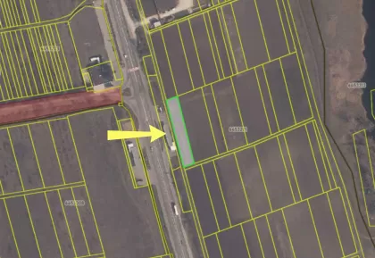 с. Пересечина, р-н Орхей изображение 244500