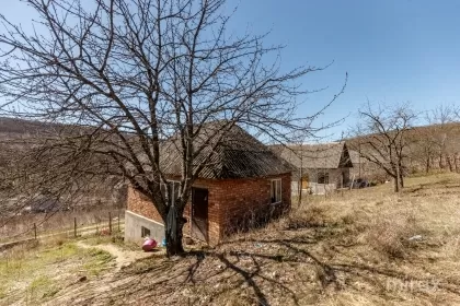 str. Pomicultorilor, Hâncești, Moldova