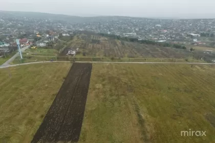 s. Trușeni, Dumbrava, Chișinău