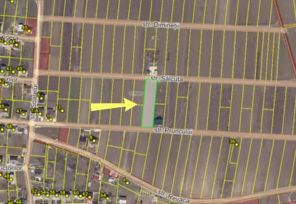 str. Pruncului, Băcioi, Chișinău imaginea 239704