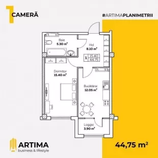 str. Calea Ieșilor, Buiucani, mun. Chișinău imaginea 202515