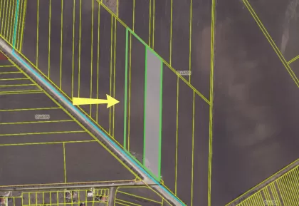 с. Крузешть, мун. Кишинёв изображение 243448