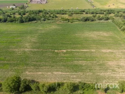 or. Sângera, Chișinău, Moldova imaginea 225310