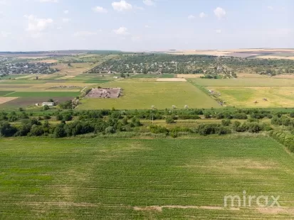 or. Sângera, Chișinău, Moldova imaginea 225312