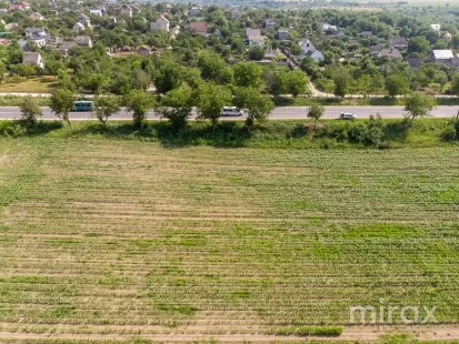 or. Sângera, Chișinău, Moldova imaginea 225314