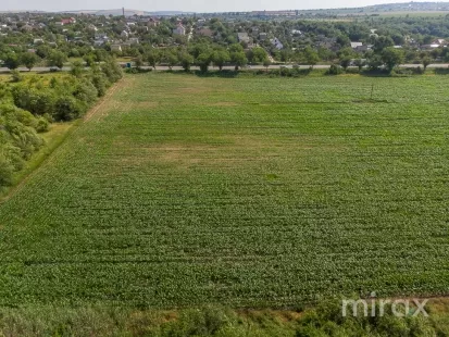 or. Sângera, Chișinău, Moldova imaginea 225315