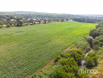 or. Sângera, Chișinău, Moldova imaginea 225308