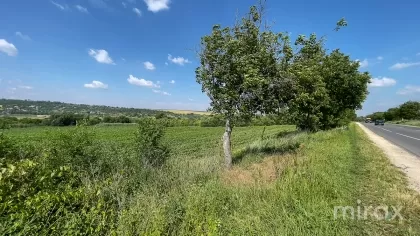 or. Sângera, Chișinău, Moldova imaginea 225321