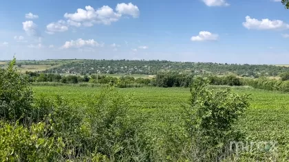 or. Sângera, Chișinău, Moldova imaginea 225324