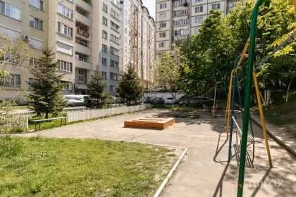 ул. Буребиста, Ботаника изображение 245510