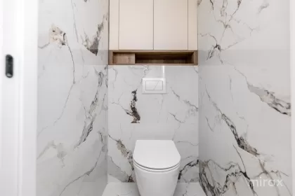 str. Albisoara, Râșcani, Chișinău image 243478