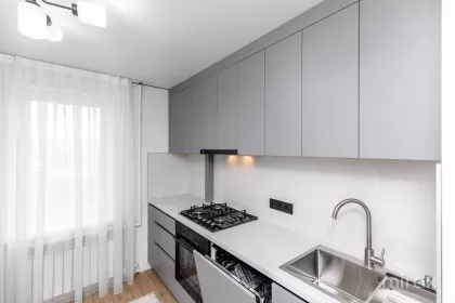 str. Albisoara, Râșcani, Chișinău image 243467