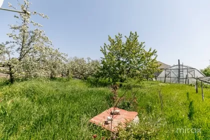 str. Cuza Voda, Bălțata, r-nul Criuleni imaginea 245523
