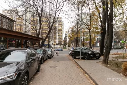 бул. Дечебал, Ботаника, мун. Кишинев изображение 220274