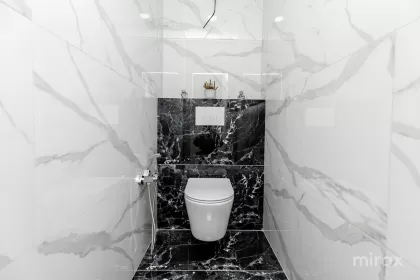 ул. Василе Лупу, Буюканы, Кишинев изображение 238454