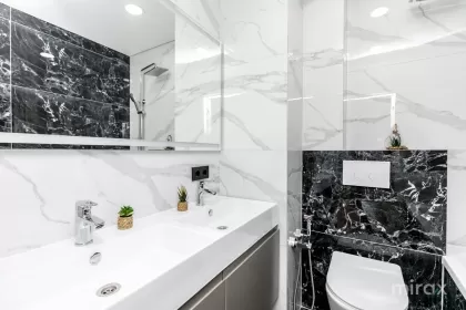 ул. Василе Лупу, Буюканы, Кишинев изображение 238453