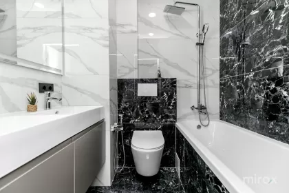 ул. Василе Лупу, Буюканы, Кишинев изображение 238452