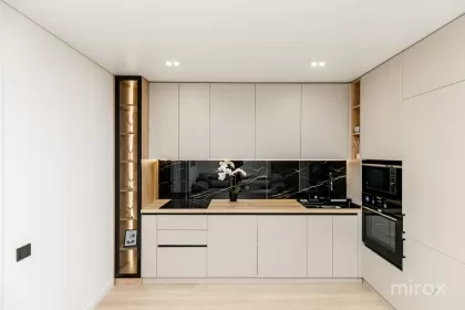 ул. Василе Лупу, Буюканы, Кишинев изображение 238439