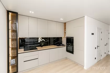 ул. Василе Лупу, Буюканы, Кишинев изображение 238438