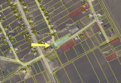 sat. Bozieni, Hîncești imaginea 238459