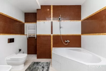 ул. Алексей Матеевич, Центр, Кишинев изображение 241015