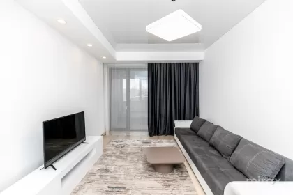 ул. Алексей Матеевич, Центр, Кишинев изображение 241006