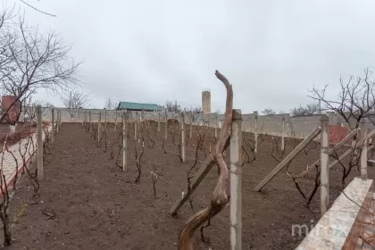 s. Budești, Chișinău, Moldova imaginea 226720