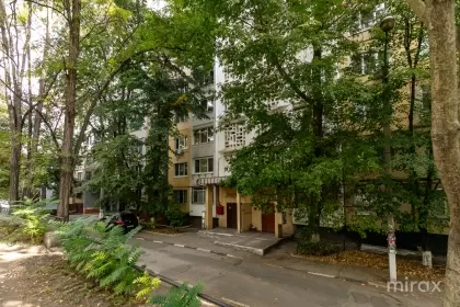 ул. Гинта Латинэ, Чеканы, Кишинев изображение 236149