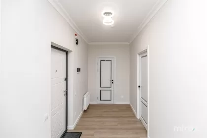 ул. Иоана Раду, Буюканы, Кишинев изображение 242369