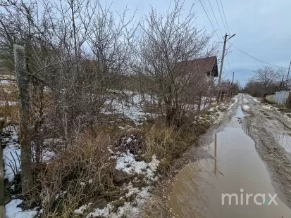 IP Dumbrava Nouă, Trușeni, mun. Chișinău image 209170