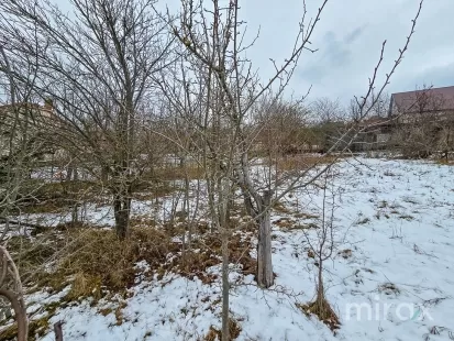 IP Dumbrava Nouă, Trușeni, mun. Chișinău image 209174