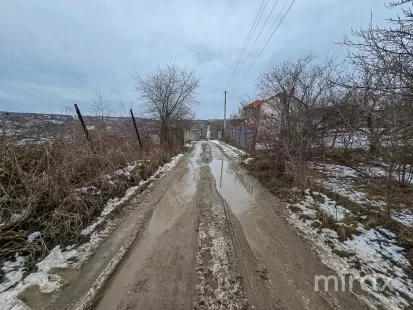 IP Dumbrava Nouă, Trușeni, mun. Chișinău image 209178