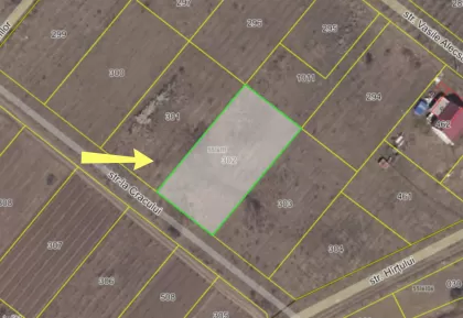 s. Dănceni, Ialoveni, Moldova image 238470