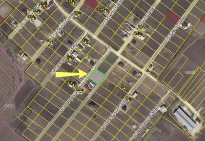 с. Костешть, Яловень изображение 244557